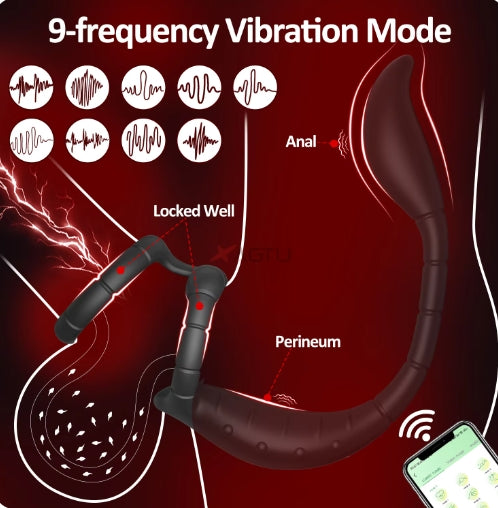 Wireless Bluetooth Penis Ring Vibrator for Men Delay Ejaculation Cock Ring Male Anal Butt Plug Vibrating for Couples