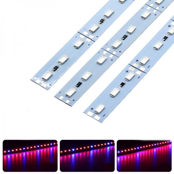 6W 50cm 5630 SMD LED Red:Blue 5:1 Grow Light Rigid Strip for Hydroponics Greenhouse