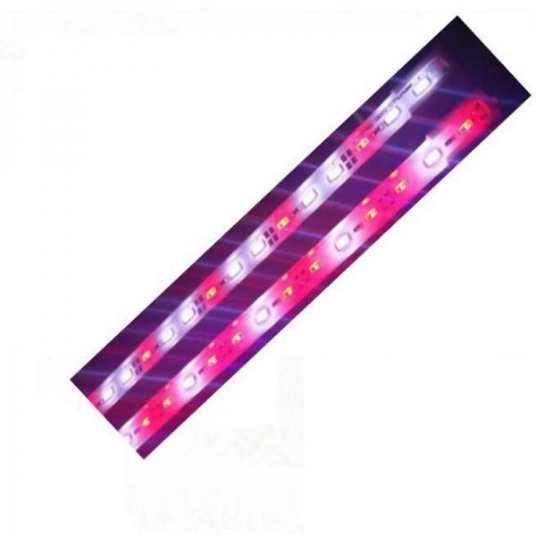 6W 50cm 5630 SMD LED Red:White 2:1 Grow Light Rigid Strip for Hydroponics Greenhouse