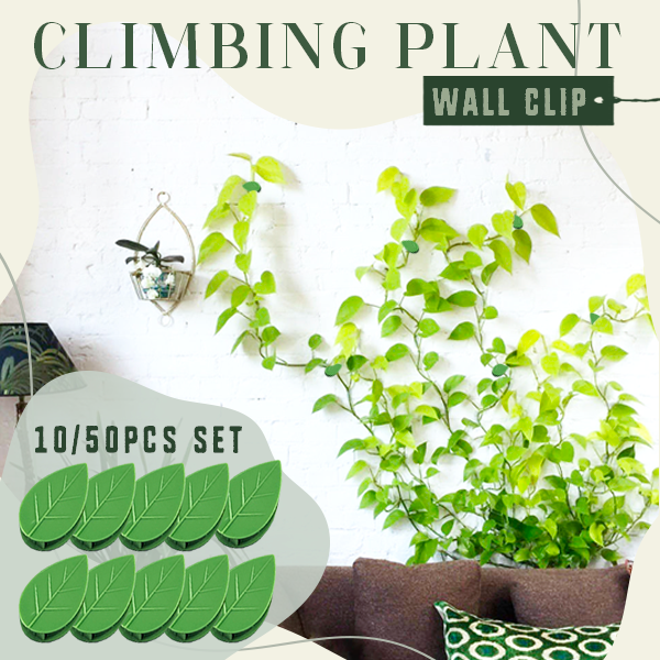 10PCS/50PCS Climbing Plant Wall Clip Kit